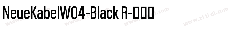 NeueKabelW04-Black R字体转换